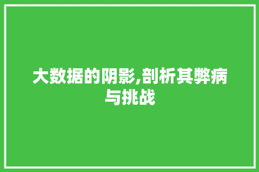 大数据的阴影,剖析其弊病与挑战 百度SEO
