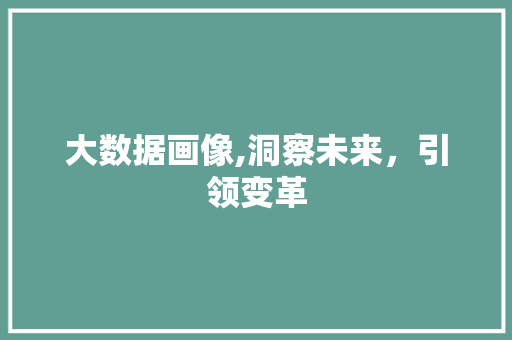 大数据画像,洞察未来，引领变革 SEO关键词