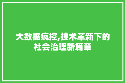 大数据疯控,技术革新下的社会治理新篇章 必应SEO