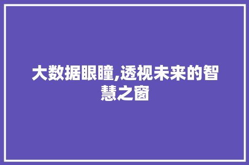 大数据眼瞳,透视未来的智慧之窗 百度SEO