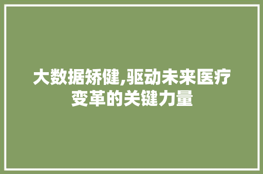 大数据矫健,驱动未来医疗变革的关键力量 百度SEO