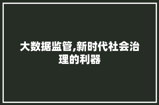 大数据监管,新时代社会治理的利器 必应SEO