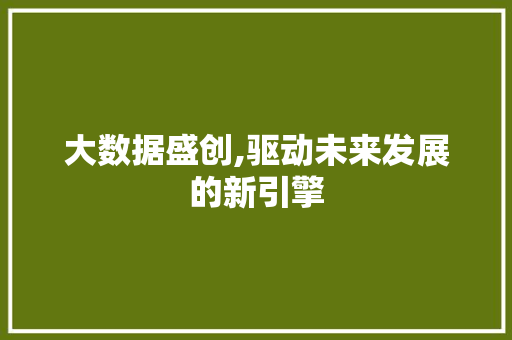 大数据盛创,驱动未来发展的新引擎 网站建设公司 大数据盛创,驱动未来发展的新引擎 网站建设公司