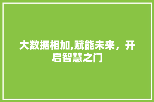 大数据相加,赋能未来,开启智慧之门 网站建设公司 大数据相加,赋能未来,开启智慧之门 网站建设公司