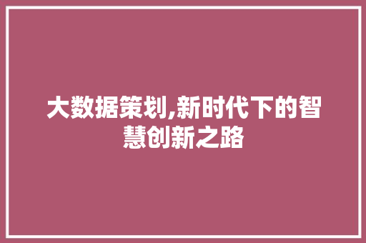 大数据策划,新时代下的智慧创新之路