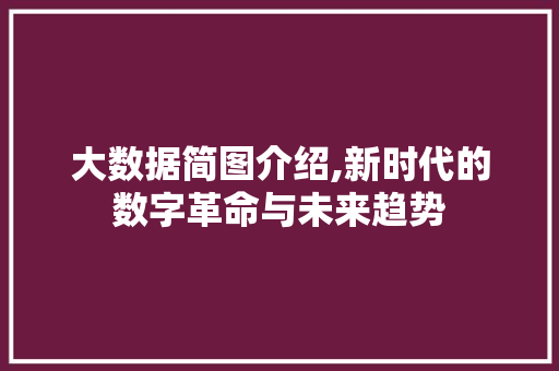 大数据简图介绍,新时代的数字革命与未来趋势