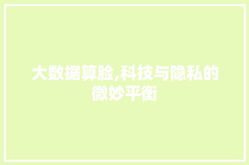大数据算脸,科技与隐私的微妙平衡