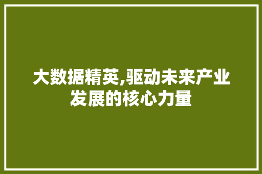 大数据精英,驱动未来产业发展的核心力量