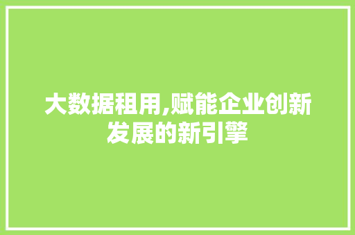 大数据租用,赋能企业创新发展的新引擎