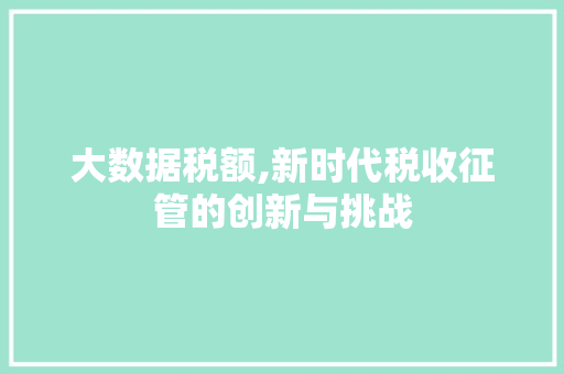 大数据税额,新时代税收征管的创新与挑战