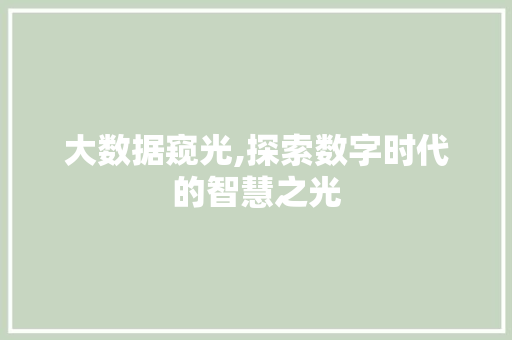 大数据窥光,探索数字时代的智慧之光