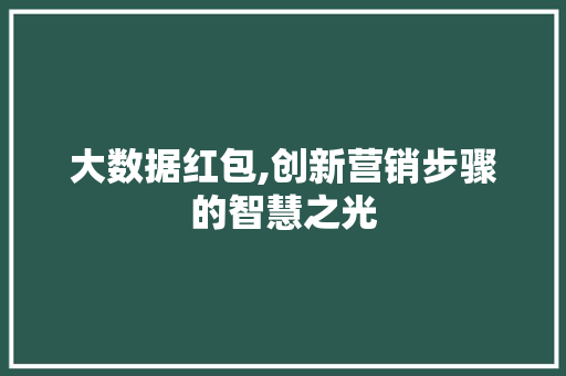 大数据红包,创新营销步骤的智慧之光