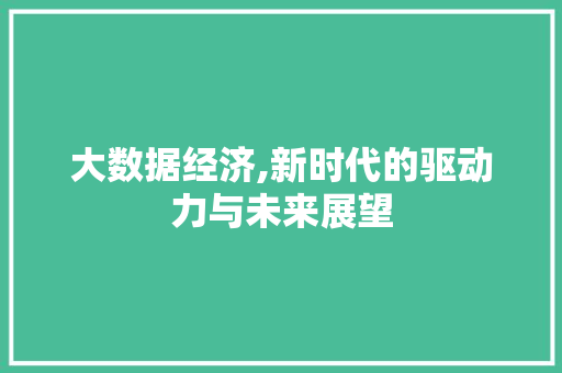 大数据经济,新时代的驱动力与未来展望