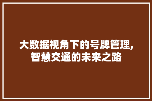 大数据视角下的号牌管理,智慧交通的未来之路 网站建设公司