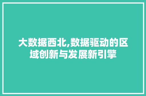 大数据西北,数据驱动的区域创新与发展新引擎