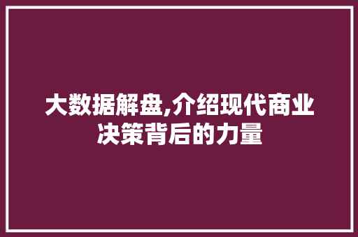 大数据解盘,介绍现代商业决策背后的力量