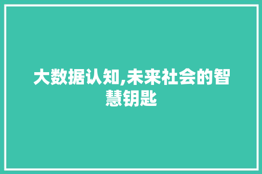 大数据认知,未来社会的智慧钥匙
