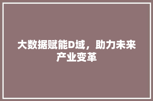 大数据赋能D域，助力未来产业变革