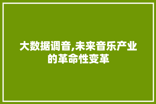 大数据调音,未来音乐产业的革命性变革