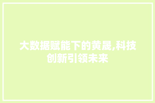 大数据赋能下的黄晟,科技创新引领未来