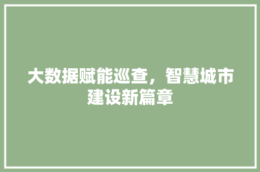 大数据赋能巡查，智慧城市建设新篇章