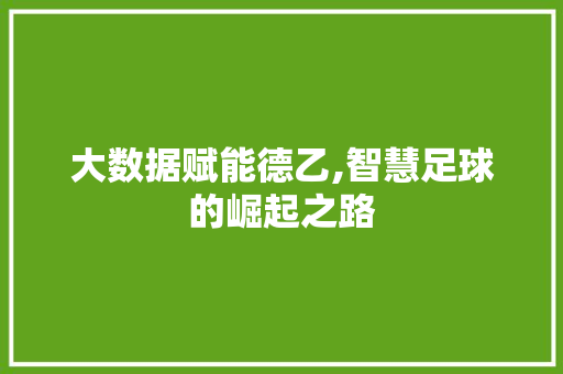 大数据赋能德乙,智慧足球的崛起之路