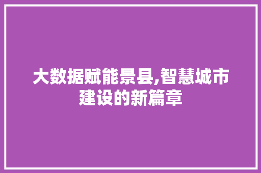 大数据赋能景县,智慧城市建设的新篇章