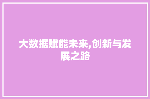 大数据赋能未来,创新与发展之路