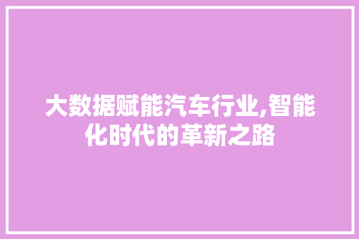 大数据赋能汽车行业,智能化时代的革新之路