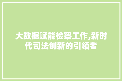 大数据赋能检察工作,新时代司法创新的引领者