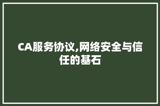 CA服务协议,网络安全与信任的基石 神马SEO