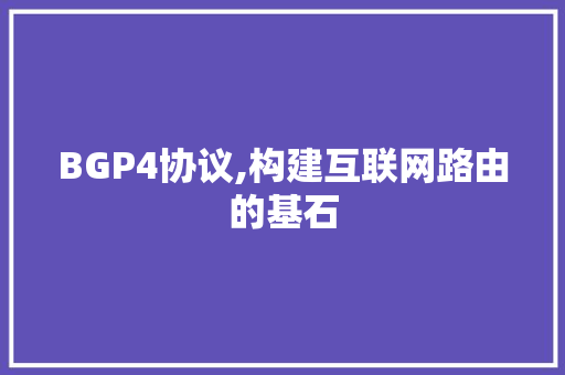 BGP4协议,构建互联网路由的基石