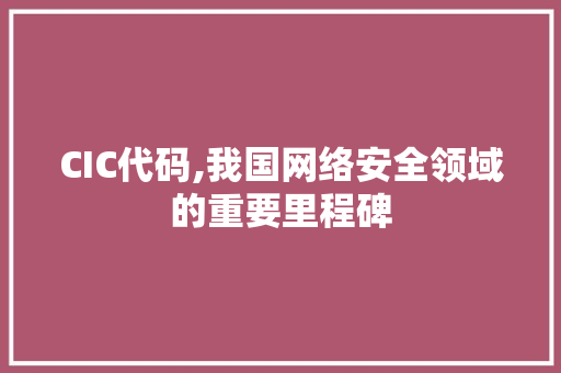 CIC代码,我国网络安全领域的重要里程碑