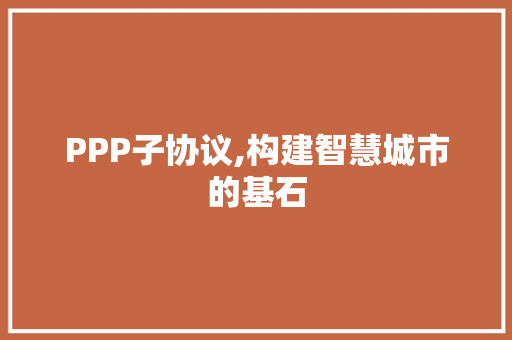 PPP子协议,构建智慧城市的基石 网站建设公司
