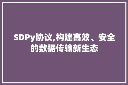 SDPy协议,构建高效、安全的数据传输新生态 必应SEO