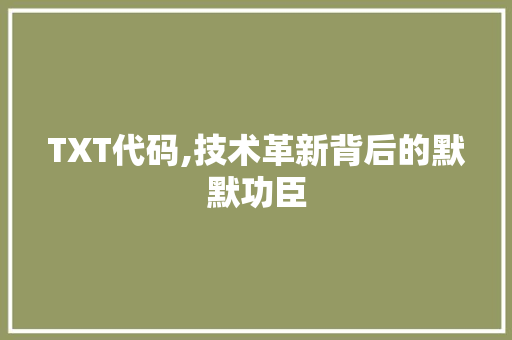 TXT代码,技术革新背后的默默功臣 网站建设公司