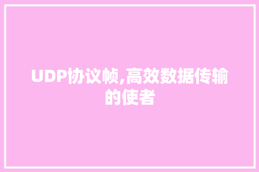 UDP协议帧,高效数据传输的使者 百度SEO