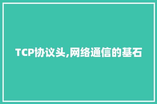 TCP协议头,网络通信的基石