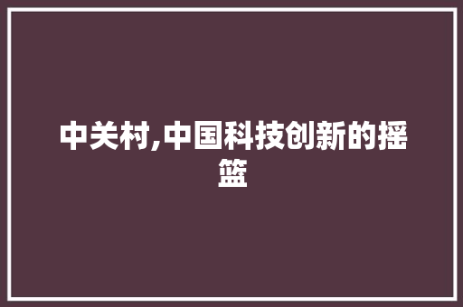中关村,中国科技创新的摇篮 SEO关键词