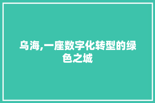 乌海,一座数字化转型的绿色之城