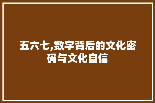 五六七,数字背后的文化密码与文化自信 必应SEO
