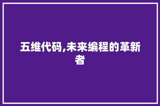 五维代码,未来编程的革新者
