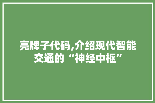亮牌子代码,介绍现代智能交通的“神经中枢”