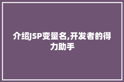 介绍JSP变量名,开发者的得力助手 神马SEO