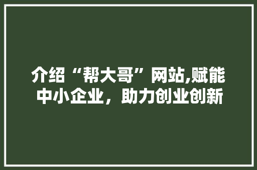 介绍“帮大哥”网站,赋能中小企业，助力创业创新