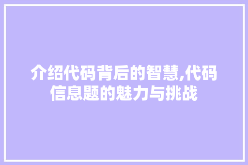 介绍代码背后的智慧,代码信息题的魅力与挑战 SEO关键词