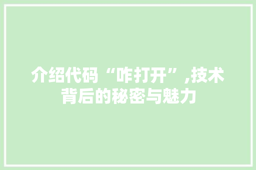 介绍代码“咋打开”,技术背后的秘密与魅力 百度SEO