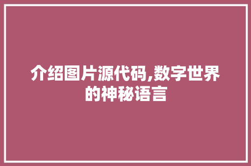 介绍图片源代码,数字世界的神秘语言