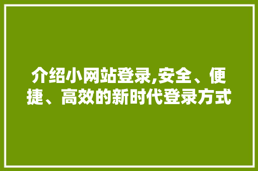 介绍小网站登录,安全、便捷、高效的新时代登录方式 必应SEO