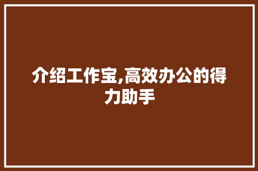 介绍工作宝,高效办公的得力助手 必应SEO